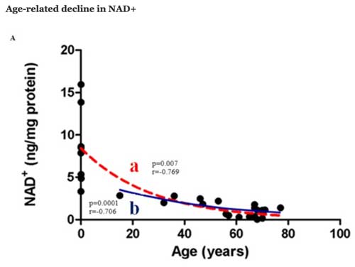 NAD levels decrease zen healthcare