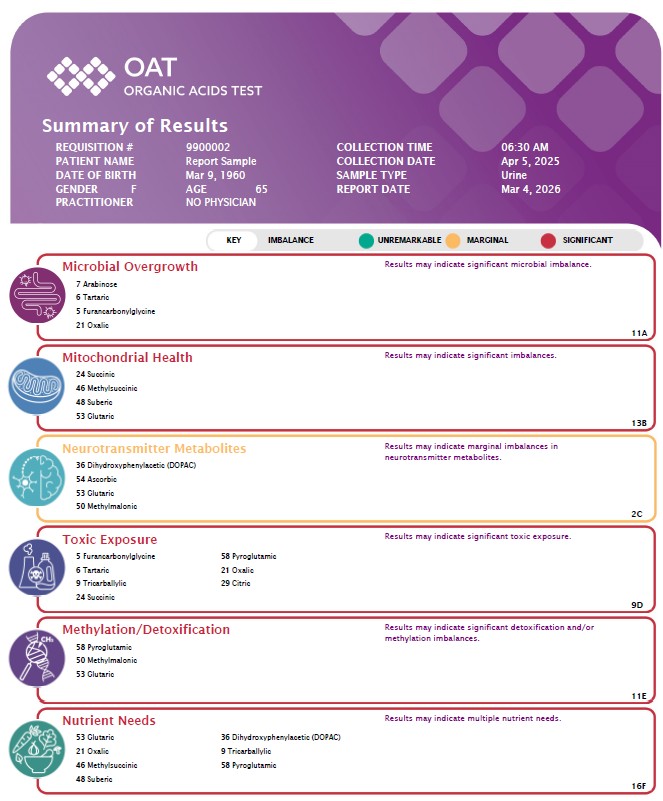 Organic acid test OAT mitochondria B vitamins autism London