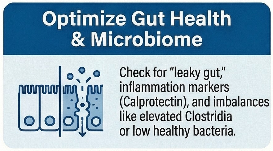 Gut microbiome analysis leaky gut autism functional medicine London