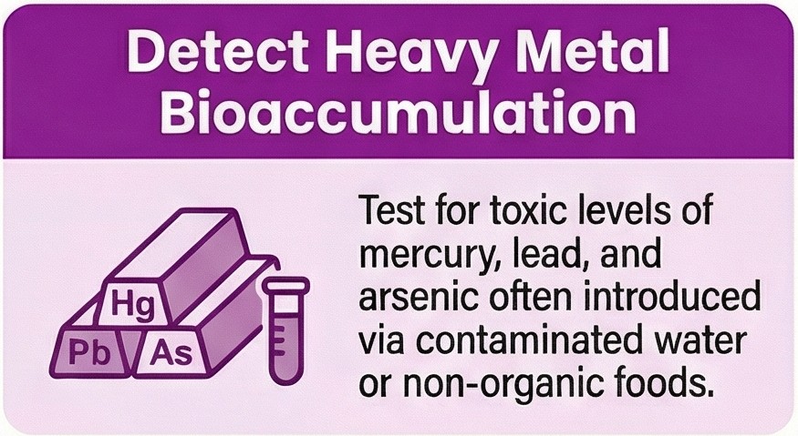 Heavy metal urine test mercury lead arsenic aluminium autism London