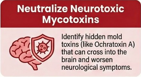 Mycotoxin mould exposure test neuroinflammation autism London